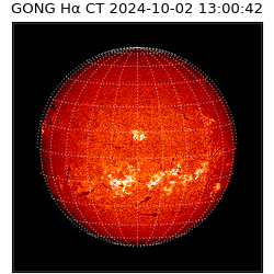 gong - 2024-10-02T13:00:42