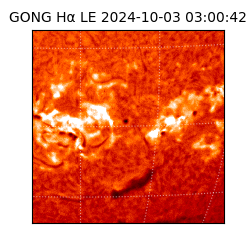 gong - 2024-10-03T03:00:42