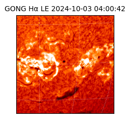 gong - 2024-10-03T04:00:42