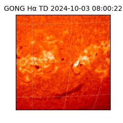 gong - 2024-10-03T08:00:22