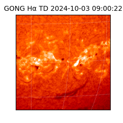 gong - 2024-10-03T09:00:22