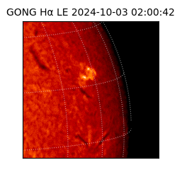 gong - 2024-10-03T02:00:42