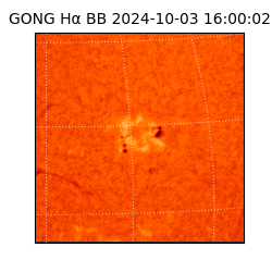 gong - 2024-10-03T16:00:02