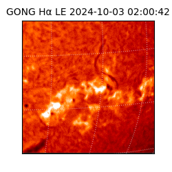 gong - 2024-10-03T02:00:42