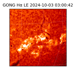 gong - 2024-10-03T03:00:42