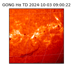 gong - 2024-10-03T09:00:22