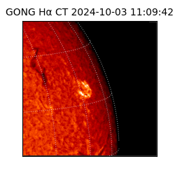gong - 2024-10-03T11:09:42