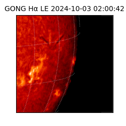 gong - 2024-10-03T02:00:42