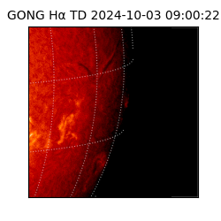 gong - 2024-10-03T09:00:22