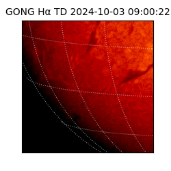 gong - 2024-10-03T09:00:22