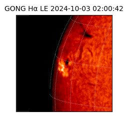 gong - 2024-10-03T02:00:42