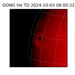 gong - 2024-10-03T08:00:22