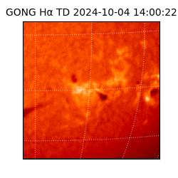 gong - 2024-10-04T14:00:22