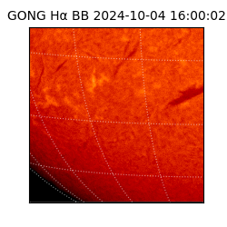 gong - 2024-10-04T16:00:02