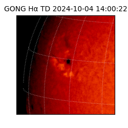 gong - 2024-10-04T14:00:22