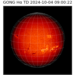 gong - 2024-10-04T09:00:22