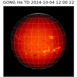 gong - 2024-10-04T12:00:22