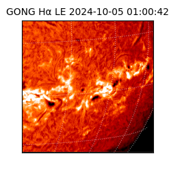 gong - 2024-10-05T01:00:42