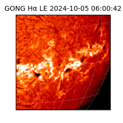 gong - 2024-10-05T06:00:42