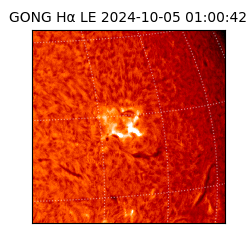 gong - 2024-10-05T01:00:42