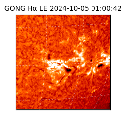 gong - 2024-10-05T01:00:42