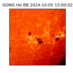 gong - 2024-10-05T15:00:02
