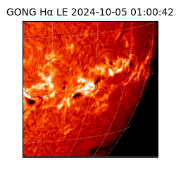 gong - 2024-10-05T01:00:42