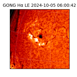 gong - 2024-10-05T06:00:42