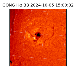 gong - 2024-10-05T15:00:02