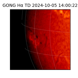 gong - 2024-10-05T14:00:22