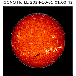 gong - 2024-10-05T01:00:42