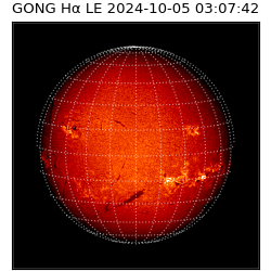 gong - 2024-10-05T03:07:42