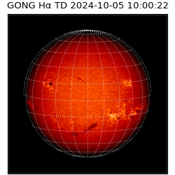 gong - 2024-10-05T10:00:22