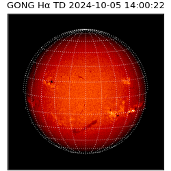 gong - 2024-10-05T14:00:22
