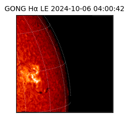 gong - 2024-10-06T04:00:42