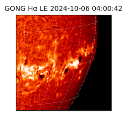 gong - 2024-10-06T04:00:42