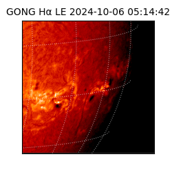 gong - 2024-10-06T05:14:42