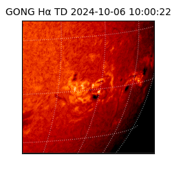 gong - 2024-10-06T10:00:22