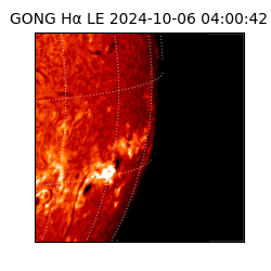 gong - 2024-10-06T04:00:42