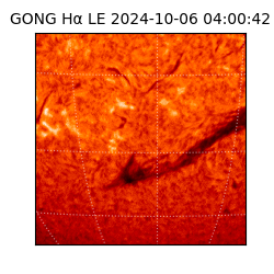 gong - 2024-10-06T04:00:42