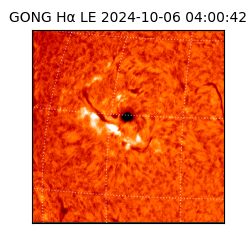 gong - 2024-10-06T04:00:42