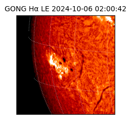 gong - 2024-10-06T02:00:42
