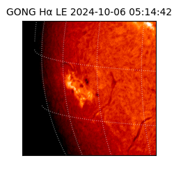 gong - 2024-10-06T05:14:42