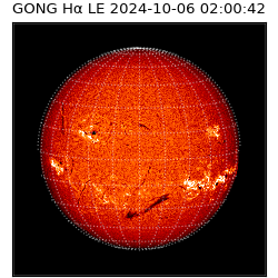 gong - 2024-10-06T02:00:42