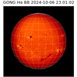 gong - 2024-10-06T23:01:02