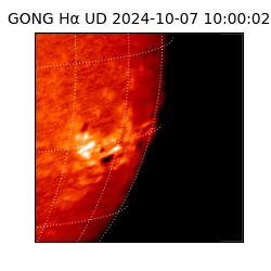 gong - 2024-10-07T10:00:02