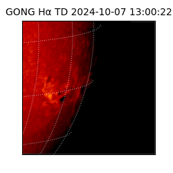 gong - 2024-10-07T13:00:22