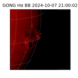gong - 2024-10-07T21:00:02