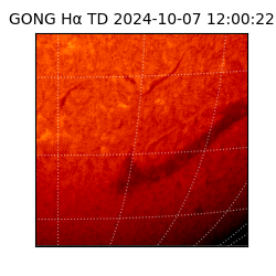 gong - 2024-10-07T12:00:22