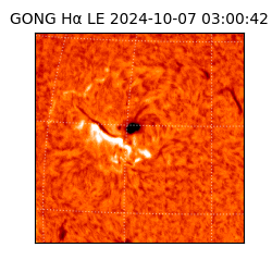 gong - 2024-10-07T03:00:42